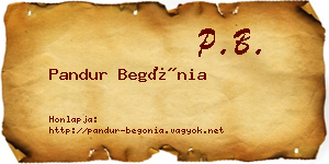 Pandur Begónia névjegykártya